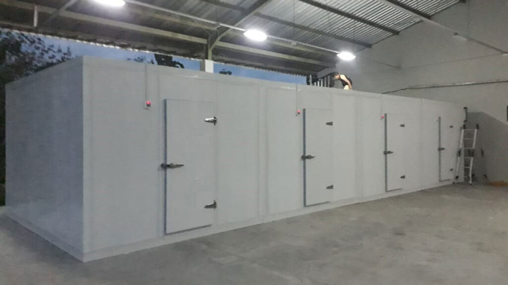 Sistem Cold Storage: Solusi Pendinginan Efisien Industri Makanan